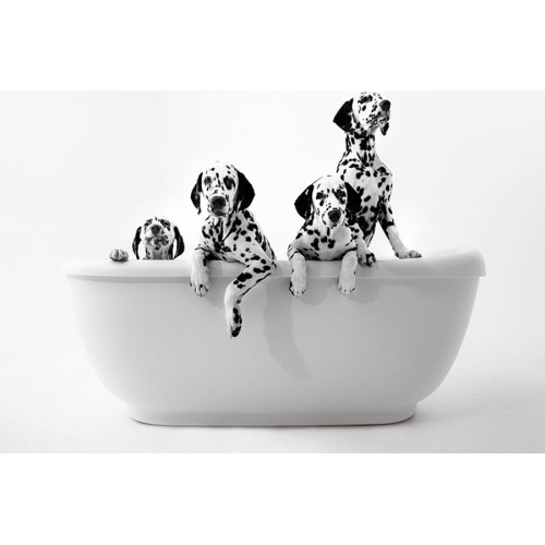 Ванна Balteco Vero 170 - фото 3