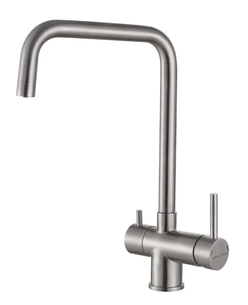 Смеситель для кухни Paulmark Wetter We213030 с поворотным изливом - фото 1