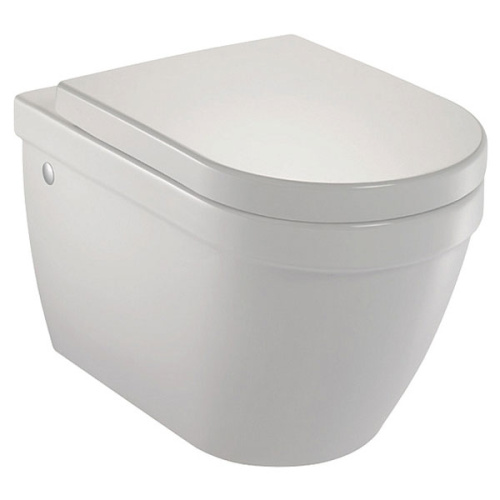 Унитаз подвесной Jacob Delafon Rodin EDC102-00 - фото 1