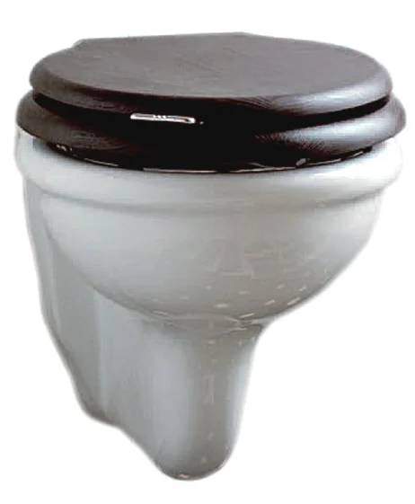 Унитаз подвесной, цвет белый, Devon&Devon Etoile - фото 1