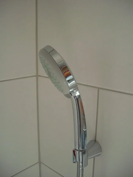 Душевая лейка Hansgrohe Croma 100 хром - фото 3