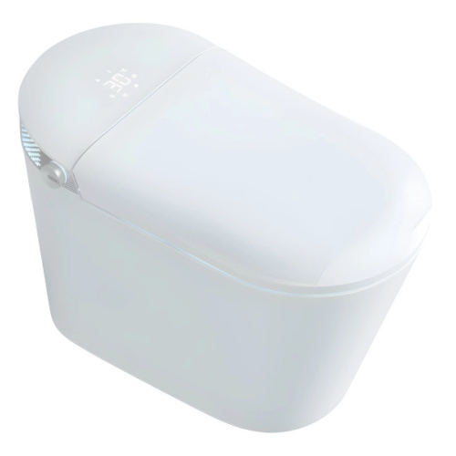 Унитаз напольный Timo с функцией биде - фото 1