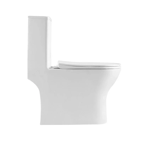 Унитаз моноблок BelBagno Lounge белый, безободковые, сиденье с микролифтом , с антивсплеском, моноблок, низкие - фото 5
