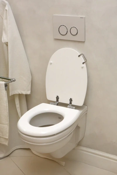 Унитаз подвесной Devon & Devon Rose белый - фото 4