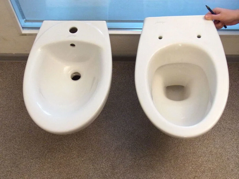 Унитаз подвесной Jacob Delafon Patio E4187-00 - фото 4