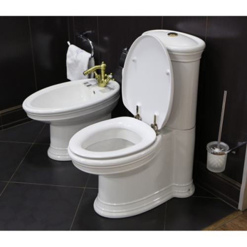 Унитаз, выпуск в стену, цвет белый, покрытие Ceramic Plus, Villeroy & Boch Amadea - фото 3