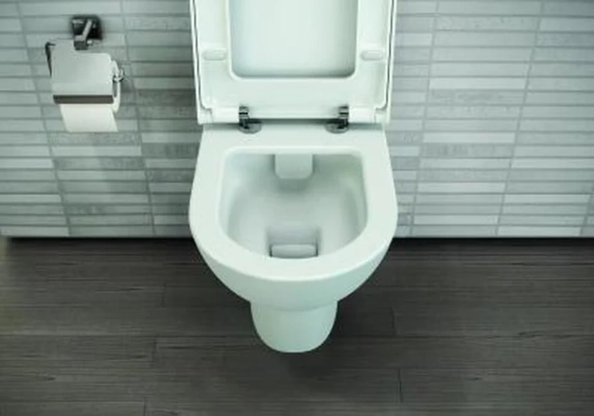 Унитаз безободковый Vitra Zentrum Rim-Ex, современные, hi-tech, круглые - фото 3