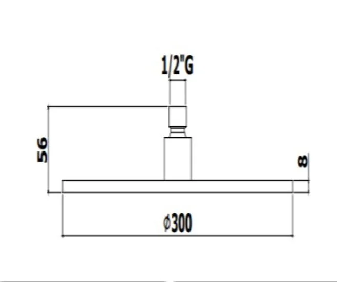 Верхний душ Paffoni Master King ZSOF079 круглый - фото 3