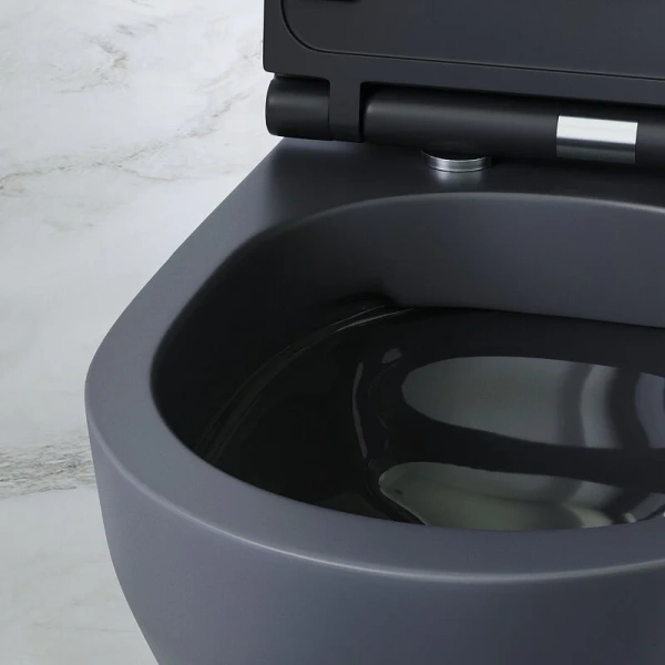 Унитаз подвесной Am.Pm Spirit 2.0 с гигиеническим душем index_1 - фото 10