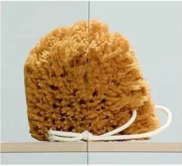 Шторка для ванны Cezares Eco 170х145 см прозрачное стекло - фото 3