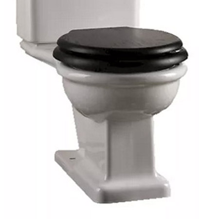 Унитаз Devon&Devon Etoile IBWCETUSA