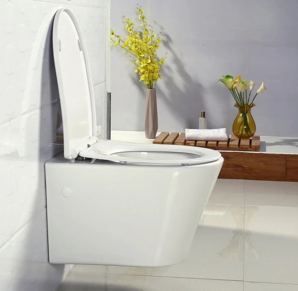 Унитаз подвесной BelBagno Flay-R безободковый, нет в наличии - фото 9