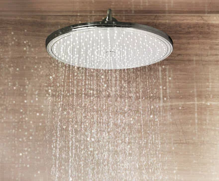 Верхний душ Hansgrohe Raindance S хром - фото 4