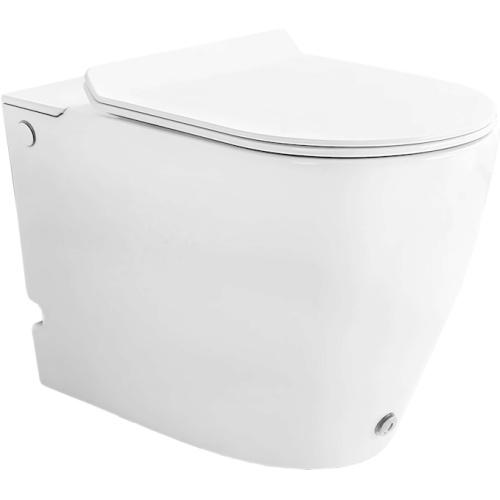 Унитаз напольный Ceruttispa Barbaria с функцией импульсного смыва - фото 1