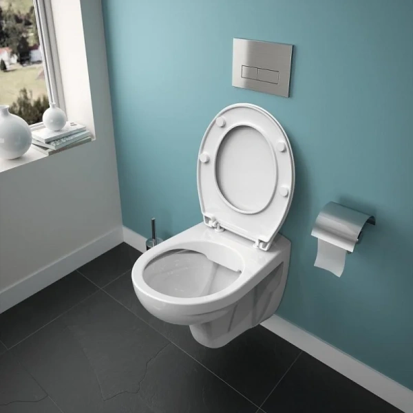 Унитаз с инсталляцией Ideal Standard Connect Ecco-Eurovit с сиденьем микролифт - фото 4
