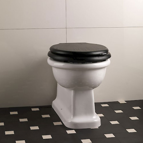 Унитаз под встраиваемый бачок Devon&Devon Etoile IBWCETBTW, напольные - фото 2