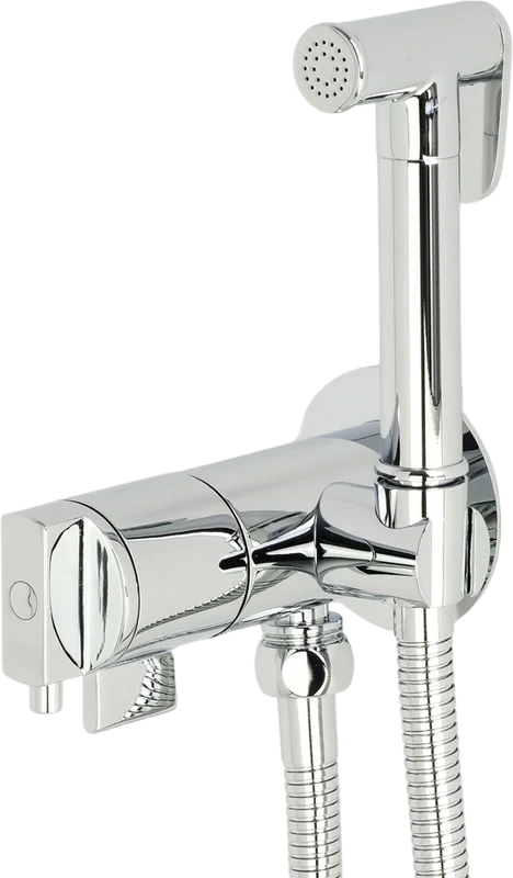 Гигиенический душ со смесителем Migliore Fortis хром - фото 1