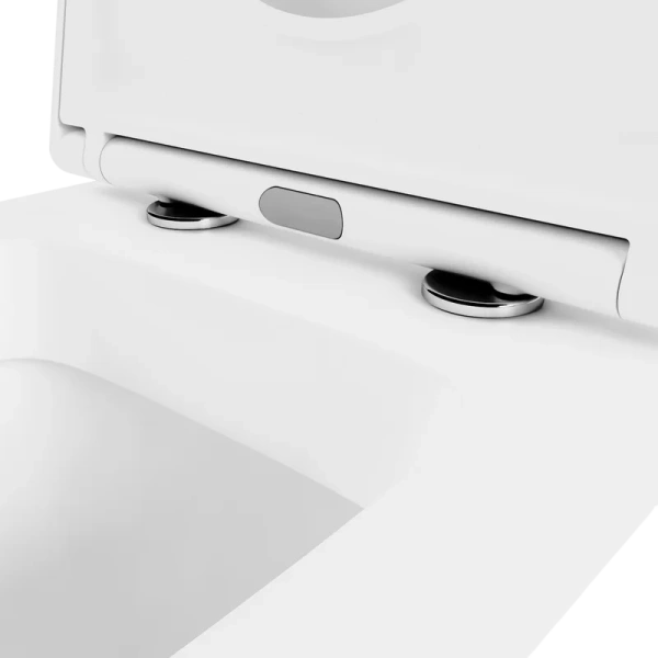 Унитаз напольный Lavinia Boho Biore с сиденьем микролифт index_1 - фото 10