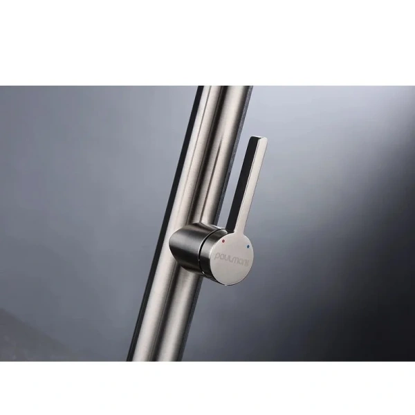 Смеситель для кухни Paulmark Leader никель, с 1 монтажным отверстием - фото 9