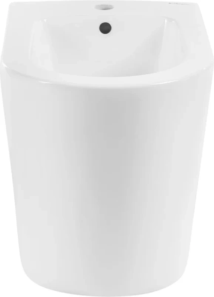 Биде напольное BelBagno Flay-R с горизонтальным выпуском - фото 2