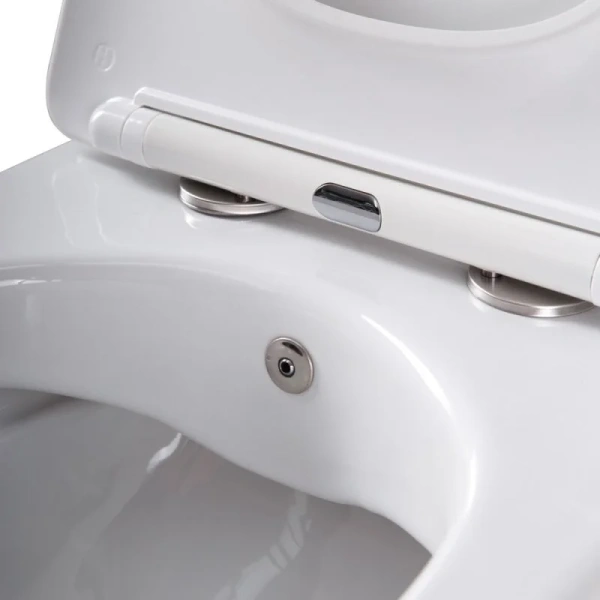 Унитаз подвесной Cezares Comfort CZR-191-TH/BS с функцией биде, круглой формы - фото 10