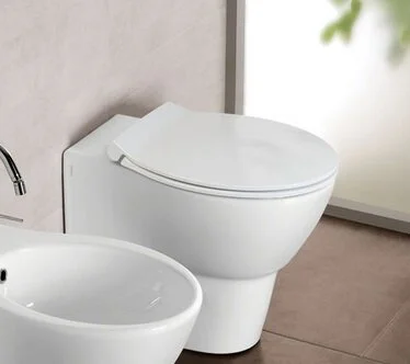 Унитаз приставной Hatria Nido Y0QU - фото 3