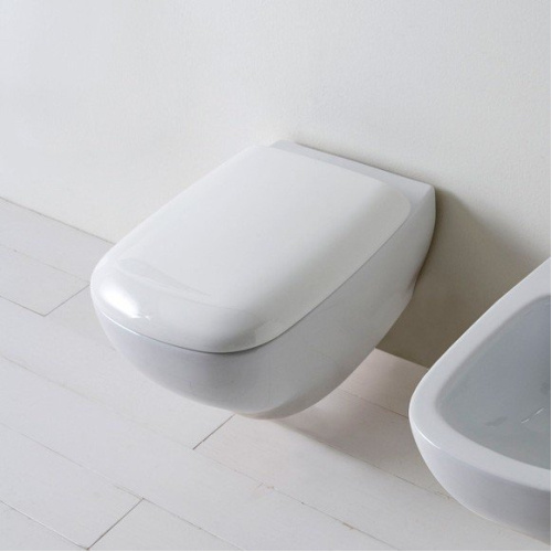 Унитаз подвесной для инвалидов Globo Argento GEAS2 - фото 2