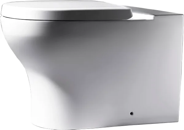 Унитаз компакт Bravat Rael CX01016UW - фото 1