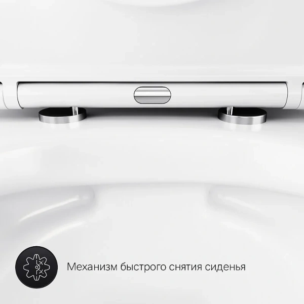 Унитаз подвесной Am.Pm Sense с гигиеническим душем index_1 - фото 10