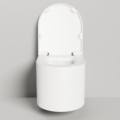 Унитаз подвесной Salini Gemelli покраска по RAL полностью - фото 3