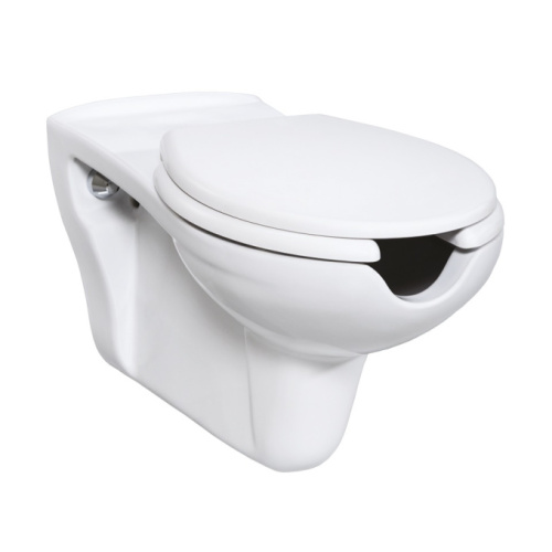 Унитаз подвесной Creavit для инвалидов - фото 1