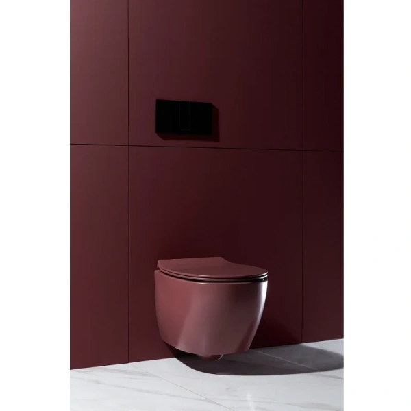 Унитаз подвесной Allen Brau Fantasy белый матовый - фото 3