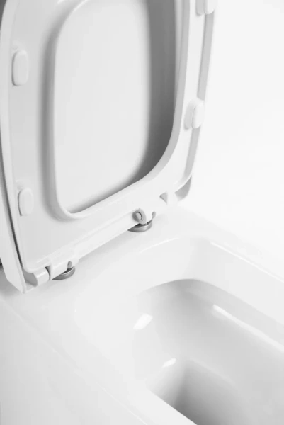 Чаша для унитаза-компакта BelBagno Lago с горизонтальным выпуском, с бачком - фото 3