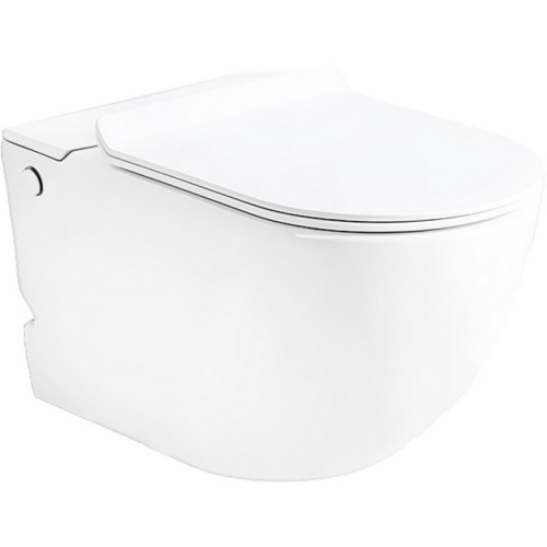 Унитаз подвесной Ceruttispa Barbaria с функцией импульсного смыва - фото 1