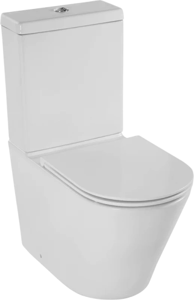 Чаша унитаза-компакта Jacob Delafon Rodin+ белая - фото 1