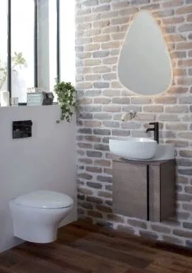 Раковина Jacob Delafon Nouvelle Vague 45 см белый, накладные (на столешницу), пристенные - фото 3