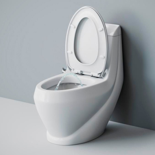 Унитаз моноблок Laguraty с биде - фото 2