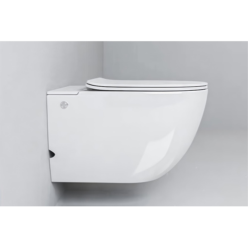 Унитаз подвесной Ceruttispa Barbaria с функцией импульсного смыва - фото 3