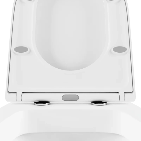 Унитаз напольный Lavinia Boho Biore с сиденьем микролифт, приставные, встраиваемые index_1 - фото 11