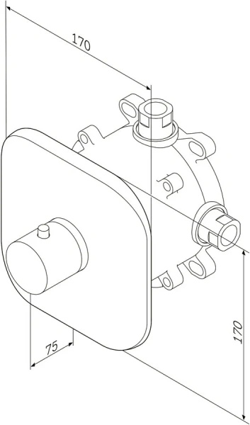 Смеситель для душа AM.PM Sensation F3075500 - фото 4