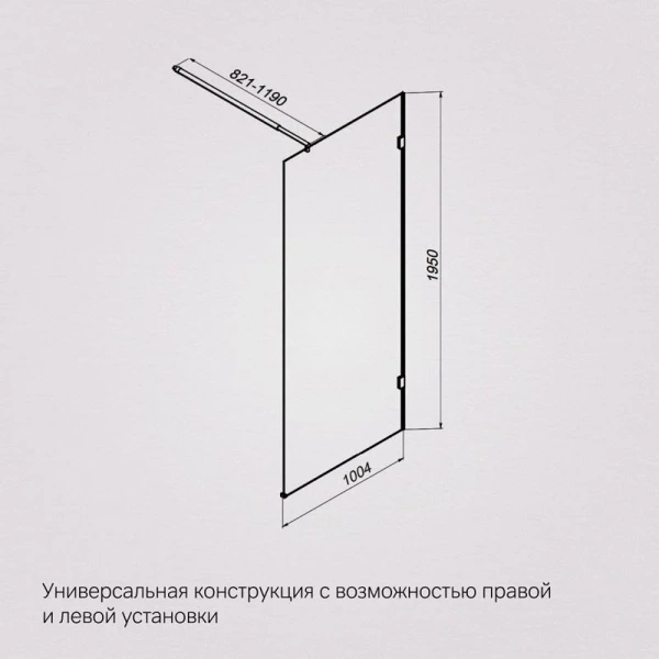 Душевая перегородка Am.Pm X-Joy 100 см профиль хром, современные, hi-tech - фото 2