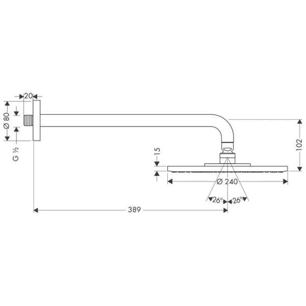 Верхний душ Hansgrohe Raindance 27461000 - фото 2