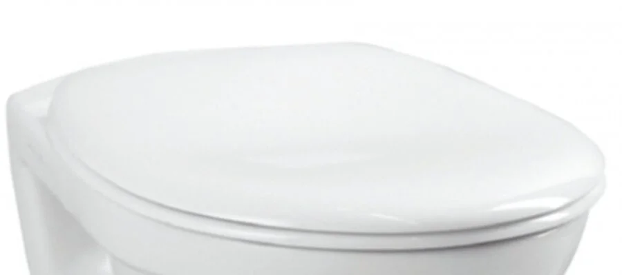 Крышка-сидение с микролифтом VitrA Norm Fit белая - фото 1