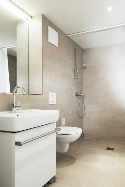 Душевая штанга Grohe New Tempesta 27523000 - фото 3