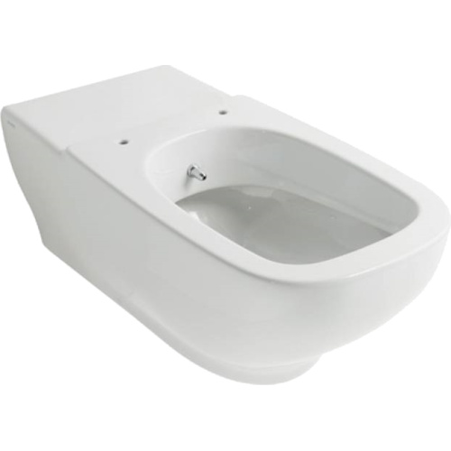 Унитаз-биде подвесной для инвалидов Globo Argento GEBO4 - фото 3