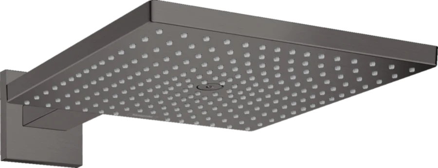 Верхний душ Hansgrohe Raindance E 26238 с держателем