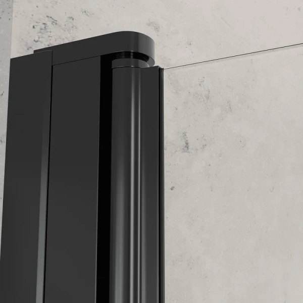 Душевая дверь в нишу RGW Dolphin TN-03-B 80 см профиль черный, стекло прозрачное, черные - фото 4