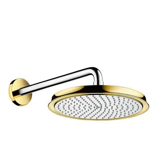 Верхний душ Hansgrohe Raindance Classic 27424 с держателем