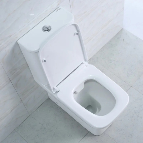Унитаз компакт BelBagno Monica BB805CPR безободковый - фото 4