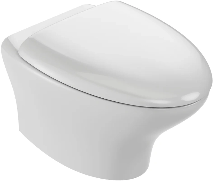 Крышка-сидение с микролифтом Jacob Delafon Nouvelle Vague дюропласт , с микролифтом index_1 - фото 5